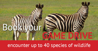 Emoya Game Drive
